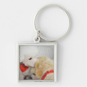 Close-up of two dogs key ring