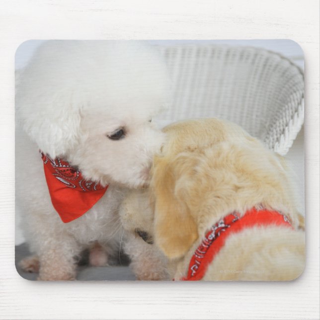 Close-up of two dogs mouse pad (Front)