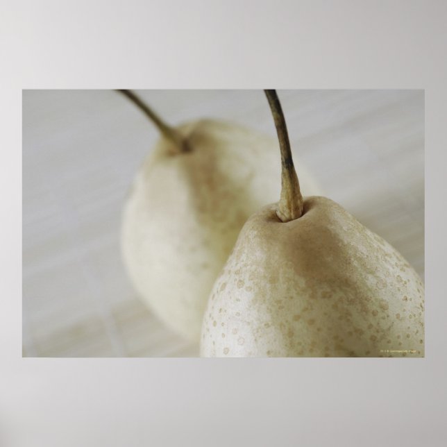 Close-up of two pears poster (Front)