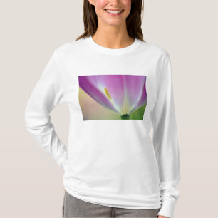 Close-up of underside of tulip flower, Kuekenhof 3 T-Shirt