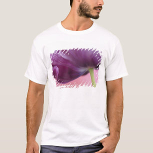 Close-up of underside of tulip flower, Kuekenhof T-Shirt