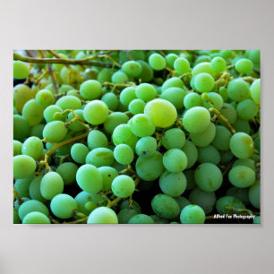 Close up of White Grapes Poster