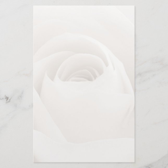 Close up of White Rose Petals Stationery (Front)