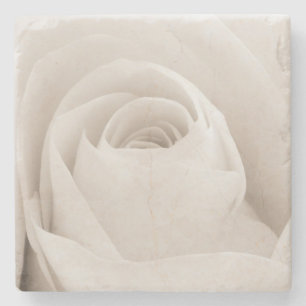 Close up of White Rose Petals Stone Coaster