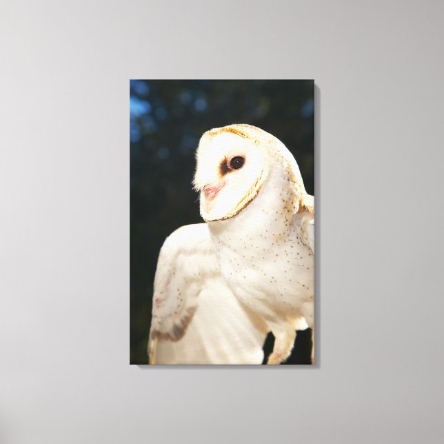 Close-up of wild owl canvas print (Front)