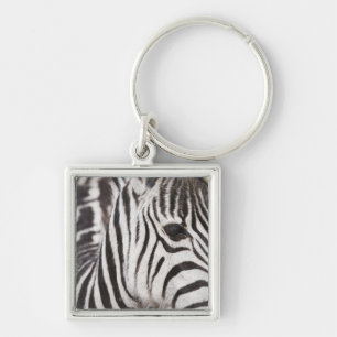 Close up of zebra key ring