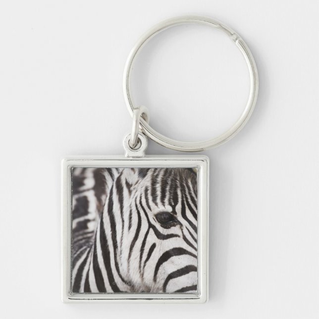 Close up of zebra key ring (Front)