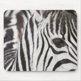 Close up of zebra mouse pad