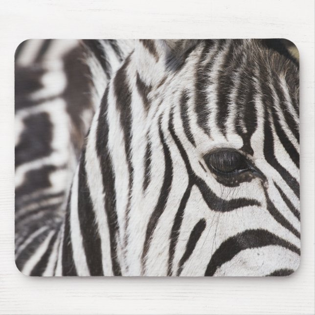 Close up of zebra mouse pad (Front)