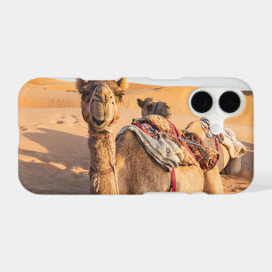Close-up on Camel in Oman desert