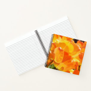 Close-up Orange and Yellow Tulips Notebook
