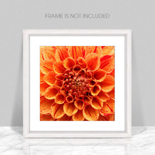 Close-Up Orange Flower photo enlargement Print