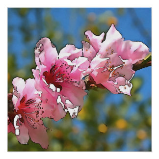 Close Up Peach Tree Blossom Black Outline Art Poster