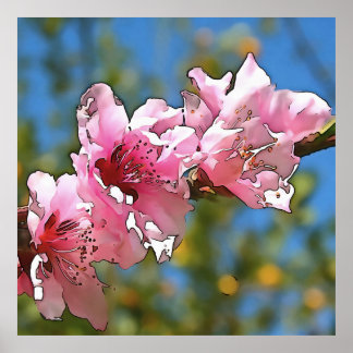 Close Up Peach Tree Blossom Black Outline Art Poster
