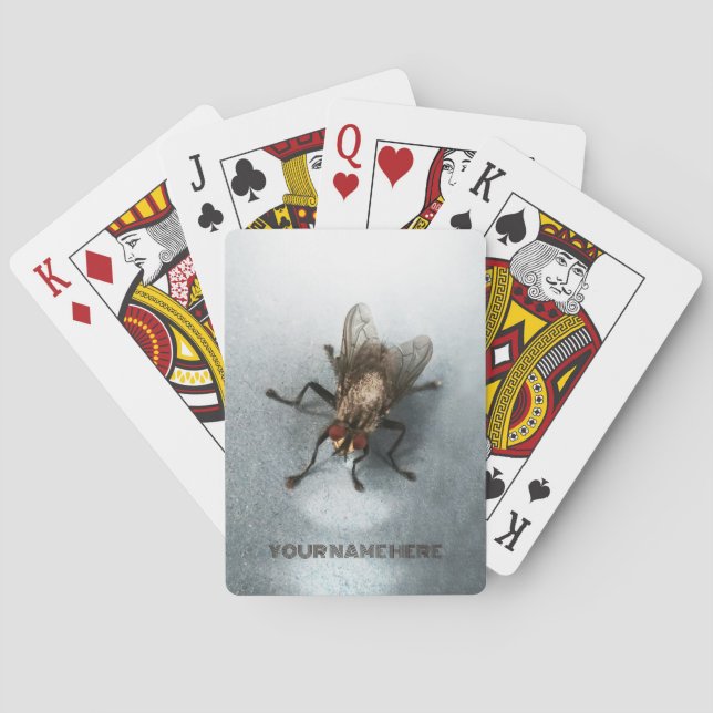 Close-up photo of a fly playing cards (Back)