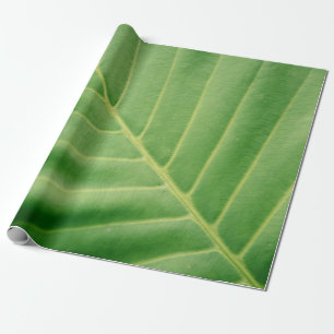 Close up photo of green leaf wrapping paper