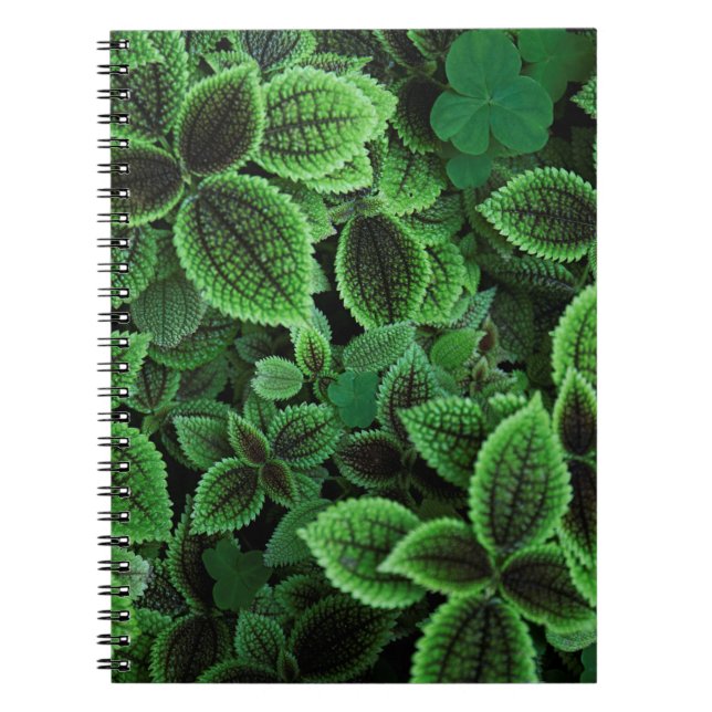 CLOSE UP PHOTO OF GREEN LEAFED PLANT NOTEBOOK (Front)