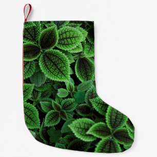 CLOSE UP PHOTO OF GREEN LEAFED PLANT SMALL CHRISTMAS STOCKING