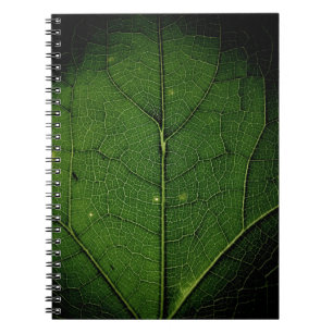 Close up photo of leaf notebook