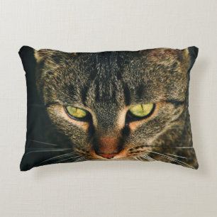 CLOSE-UP PHOTOGRAPHY OF GRAY TABBY CAT DECORATIVE CUSHION