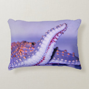 Close up photography of starfish decorative cushion