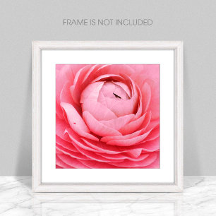 Close-Up Pink Flower Photo Print