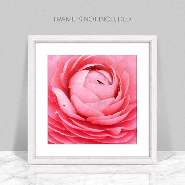 Close-Up Pink Flower Photo Print (Creator Uploaded)