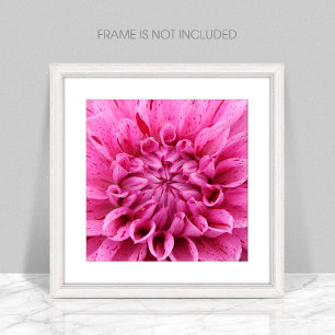 Close-Up Pink Flower Poster