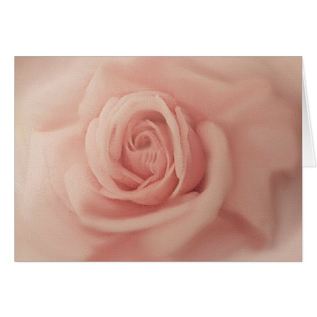 Close Up Pink Rose Cards (Front Horizontal)