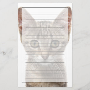 Close up portrait of a kitten stationery