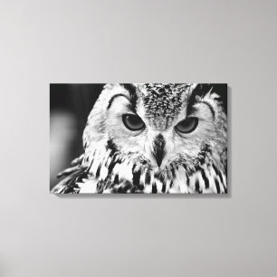 Close Up Portrait Of Eurasian Eagle-owl Canvas Print
