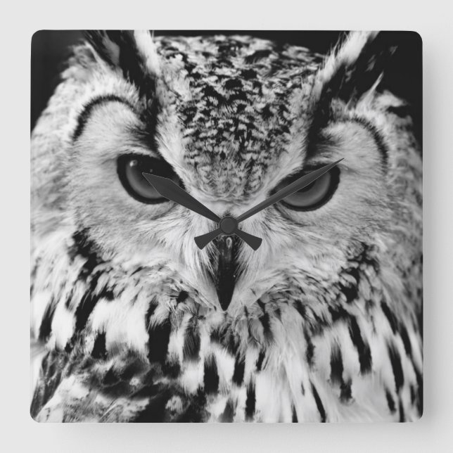 Close Up Portrait Of Eurasian Eagle-owl Square Wall Clock (Front)