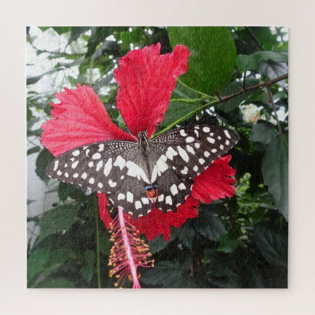 Close up Puzzle: Black White Spotted Butterfly Jigsaw Puzzle (Vertical)