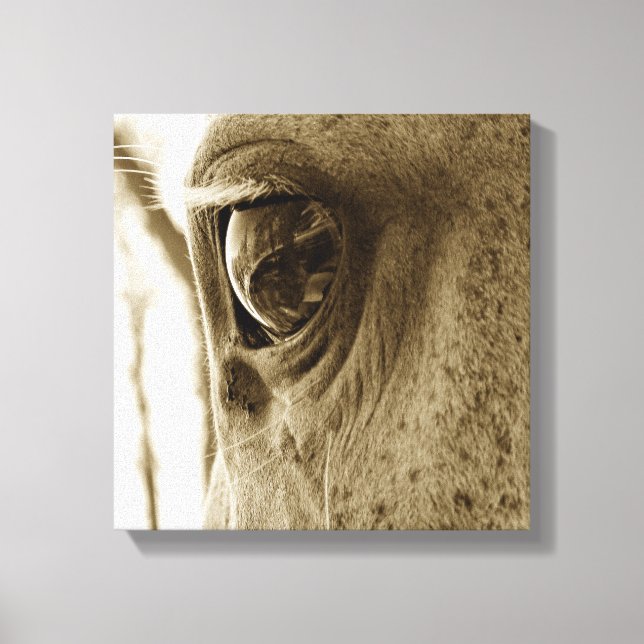 Close-up Sepia Image of a Dappled Grey Horse's Eye Canvas Print (Front)