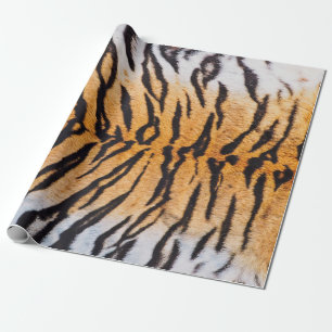 Close-Up Shot of Real Indo-Chinese Tiger (Panthera Wrapping Paper