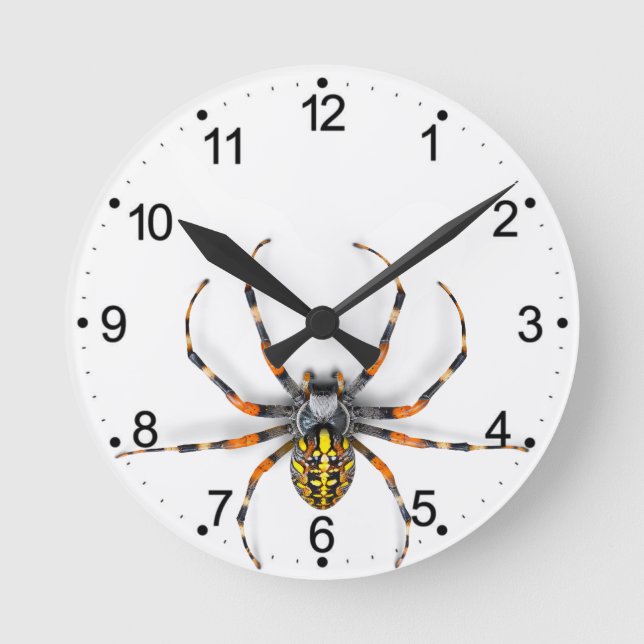 Close-up Spider Isolated-23983 Denim Jacket Round Clock (Front)