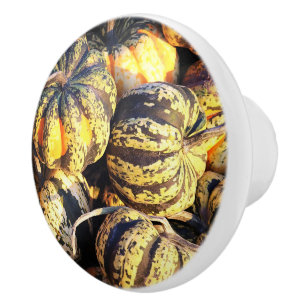 Close Up Stripey Pumpkins  Ceramic Knob