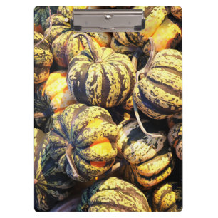 Close Up Stripey Pumpkins Clipboard