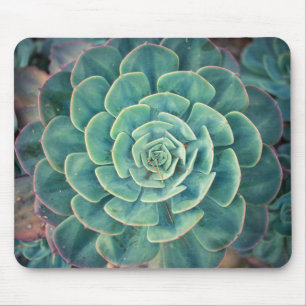 Close-up Succulent Mouse Pad