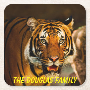 Close-up Tiger Square Paper Coaster