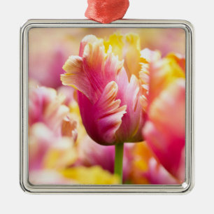 Close-up Tulips Metal Tree Decoration