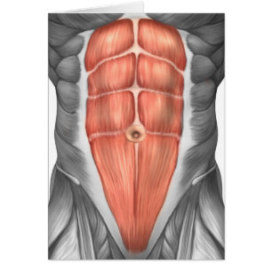 Close-Up View Of Male Abdominal Muscles