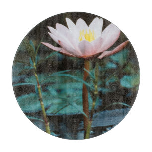 Close-Up view of Water Lily at Inle Lake Cutting Board