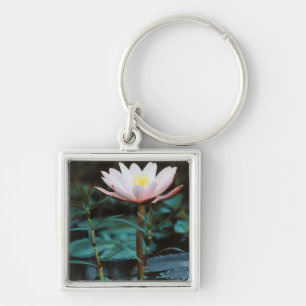 Close-Up view of Water Lily at Inle Lake Key Ring