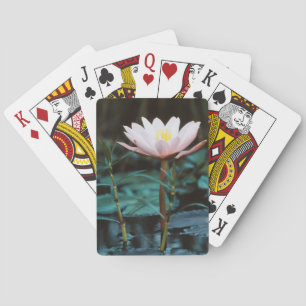 Close-Up view of Water Lily at Inle Lake Playing Cards