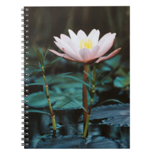 Close-Up view of Water Lily at Inle Lake Spiral Notebook