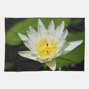 Close-up White Water Lily Flower and Bee Tea Towel