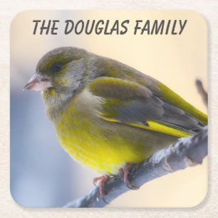 Close-up Wild Bird Square Paper Coaster