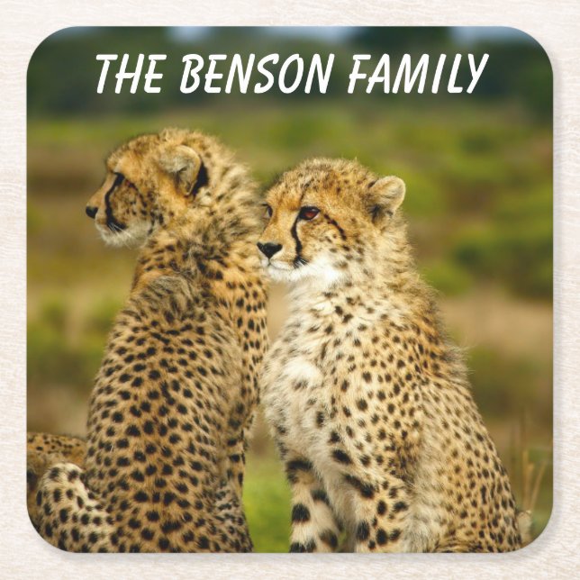 Close-up Wild Cheetah's Square Paper Coaster (Front)