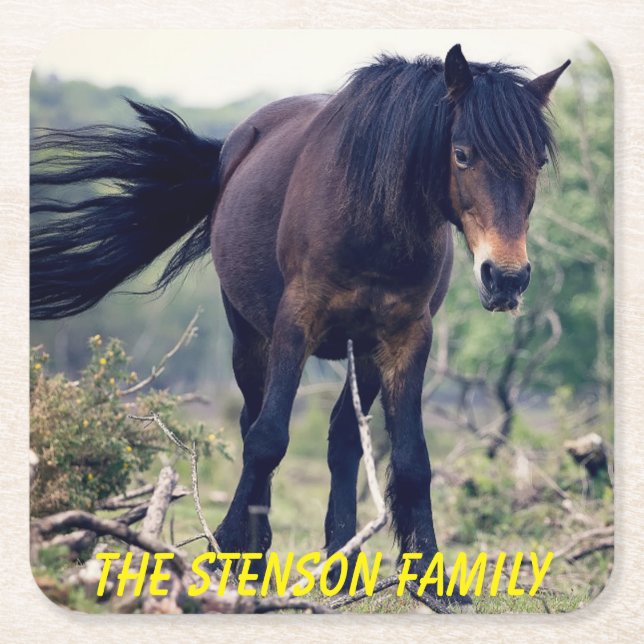 Close-up Wild Horse Square Paper Coaster (Front)